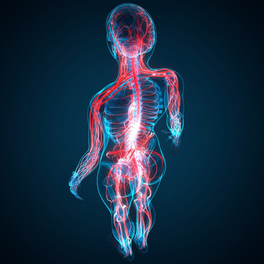Body mind connection